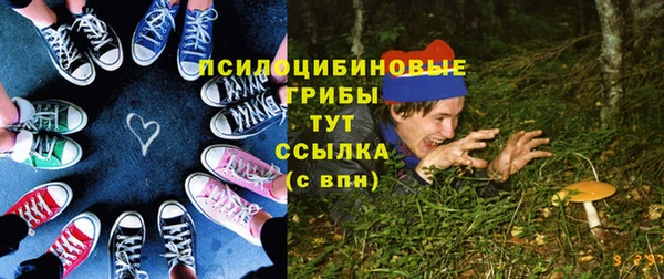 молекула духа Армянск